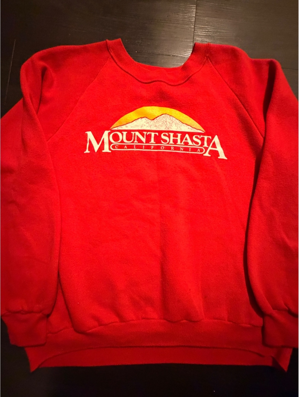 NWT VTG 80s Jerzees Russell Mount Shasta Sweatshirt L
